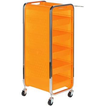 Beauty Instrument Organizer Professional Trolley f